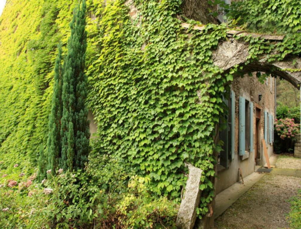 L'Affable Les Cammazes Bed & Breakfast ภายนอก รูปภาพ