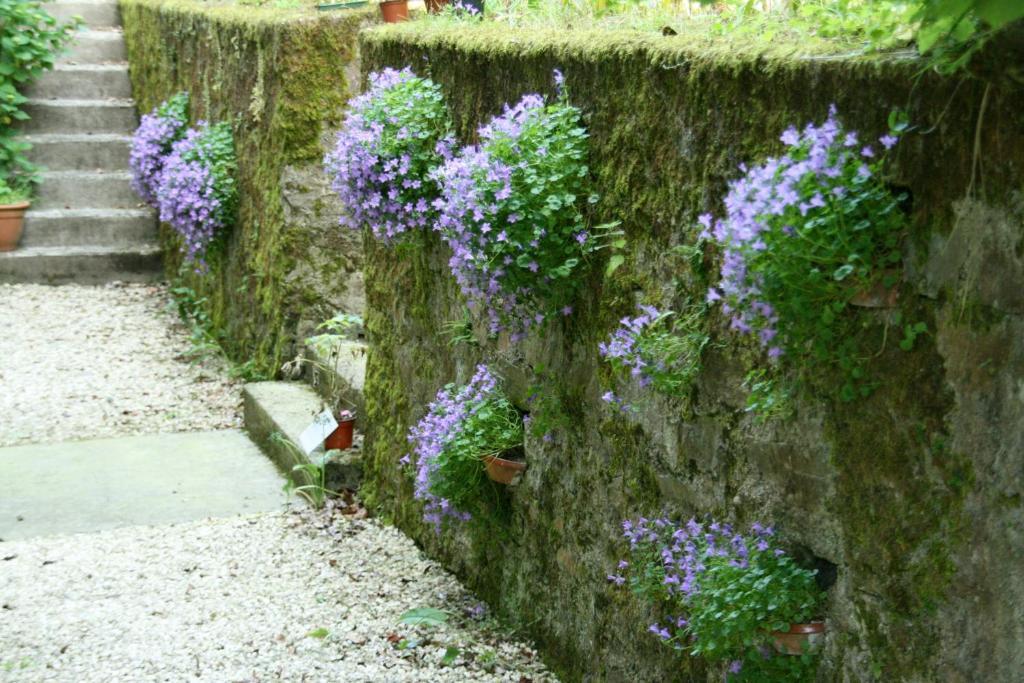 L'Affable Les Cammazes Bed & Breakfast ภายนอก รูปภาพ